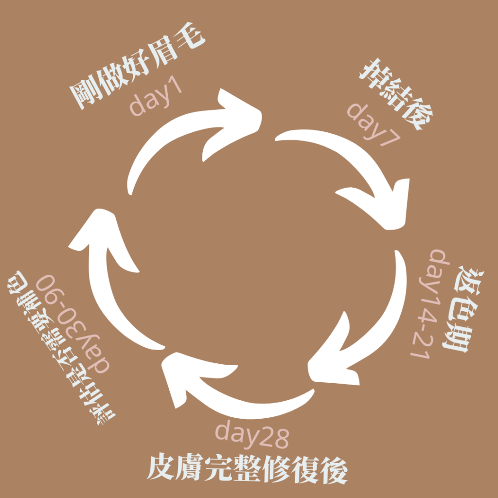 飄眉階段及飄眉補色時間 飄眉階段-飄眉補色時間